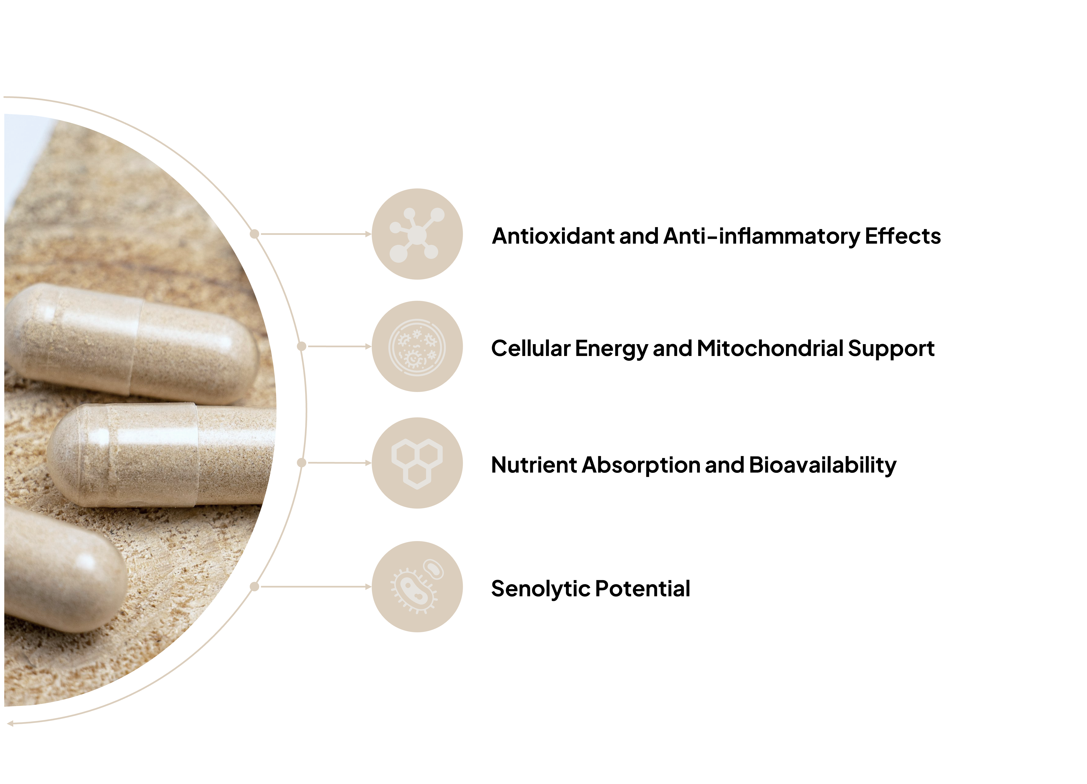 Ingredients-page_Essentials-I-XR